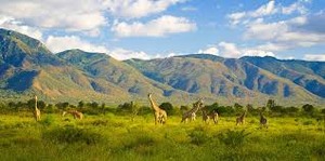 Regional park in Tanzania